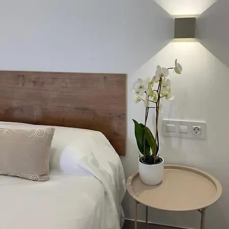 La Palmera Luxury *